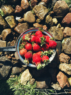 石堆旁玻璃碗中的新鲜草莓