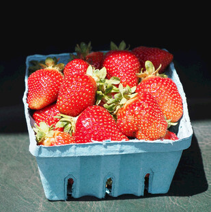 蓝色容器中的新鲜草莓