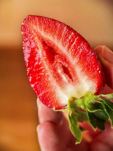 手持半颗新鲜红草莓
