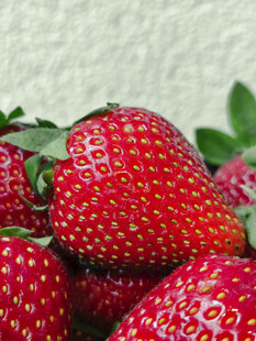 新鲜诱人的草莓果实