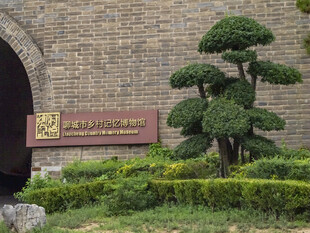 聊城