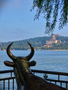 颐和园湖畔铜牛与远处楼阁景致