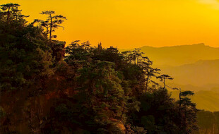 山林