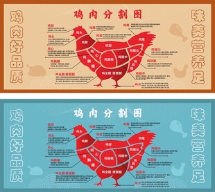 鸡肉分割示意图