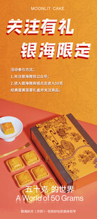 月饼礼盒 