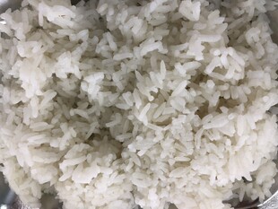 米饭