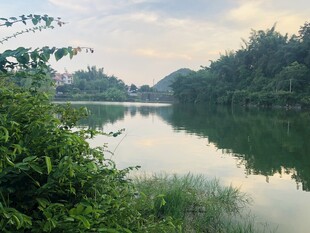 宁静湖畔自然风光