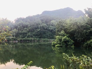 宁静湖畔山林美景