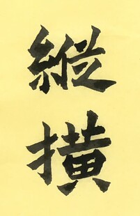 纵横 杨克东书法
