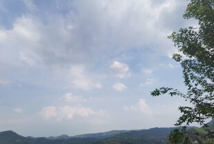 山间云景绿意点缀