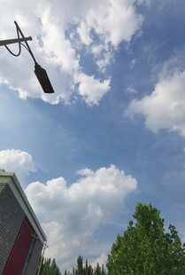 空中悬挂的黑桨叶
