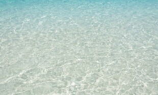 清澈见底的浅海海水