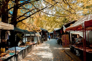 秋日集市街道的热闹景象