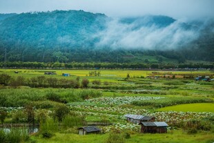 山间田园美景