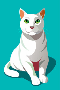 坐姿优雅的白色猫咪