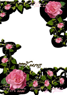 粉色玫瑰边框装饰图案