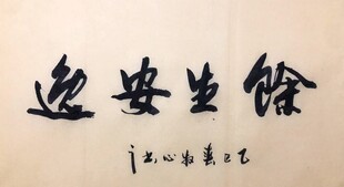 余生安逸 杨克东书法