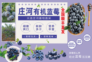 有机蓝莓宣传海报
