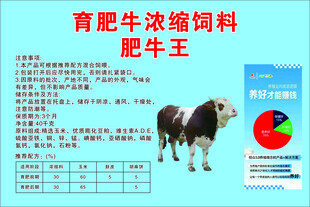 育肥牛浓缩饲料肥牛王介绍