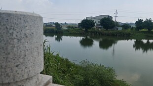 湖畔石景静谧水乡风光