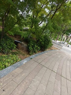 林荫铺砖步道景色宜人