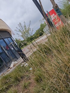 户外草地旁的建筑物一角