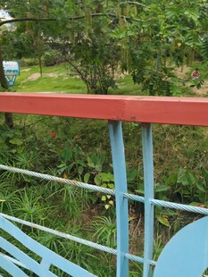 阳台栏杆外的绿意风景