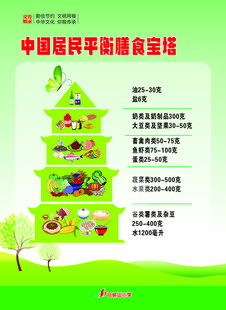 中国居民平衡膳食宝塔图
