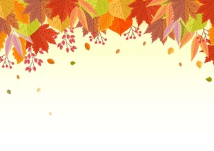 秋日缤纷落叶背景图