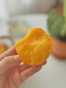 手捧鲜嫩黄桃果肉