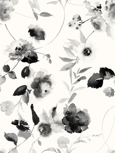 黑白花卉图案纹理背景