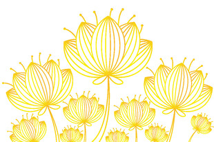 金色莲花图案
