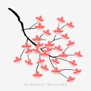 粉色樱花枝插画