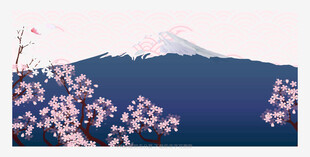 富士山下烂漫樱花绽放