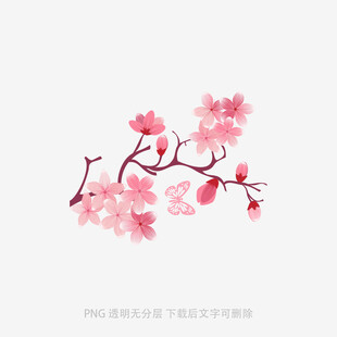粉色樱花枝插画