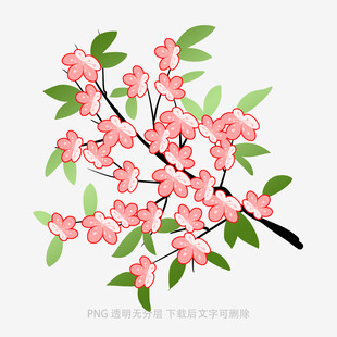 粉色樱花枝插画