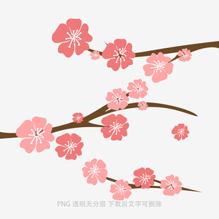 粉色樱花枝插画