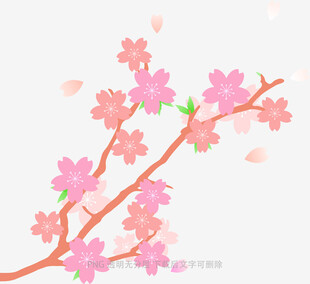 粉色樱花枝插画