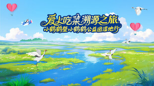 湿地主视觉