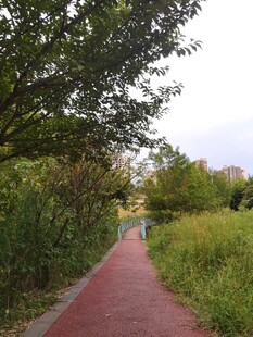 林间红径自然清新景致