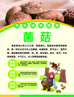 菌菇