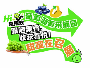 果蔬采摘园开启欢乐之旅