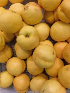 一堆黄澄澄的新鲜梨子