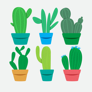 可爱多彩仙人掌盆栽集合