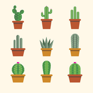 多样仙人掌盆栽插画