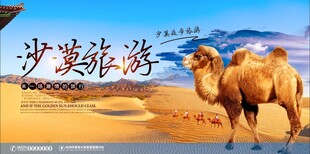 沙漠骆驼开启奇幻之旅