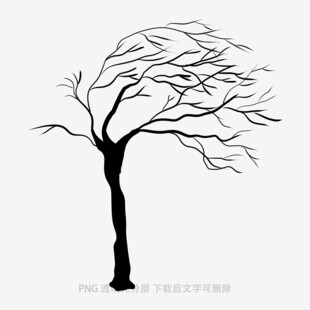 树木