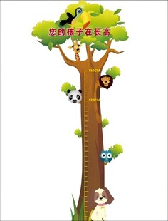 身高尺
