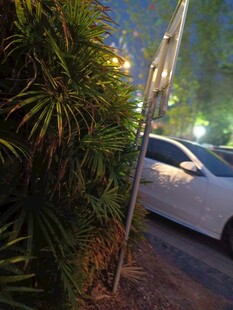路边绿植旁的白色汽车