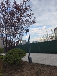 户外绿化景观场景